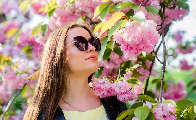 さくらの木が咲く柔らかくて優しい華やかな花と女性の美しさ春の花が咲く女性スキンケアとスパ肌のための自然化粧品ピンクの楽園桜の花の女の子