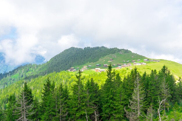 Sal Plateau Rize Camlihemsin Turkije