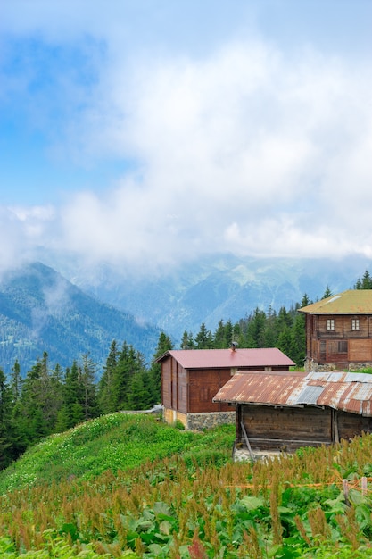 Sal Plateau Rize Camlihemsin Turkije