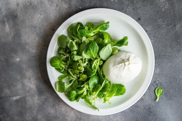 salad green buratta leaves mix fresh healthy meal food snack diet on the table copy space food