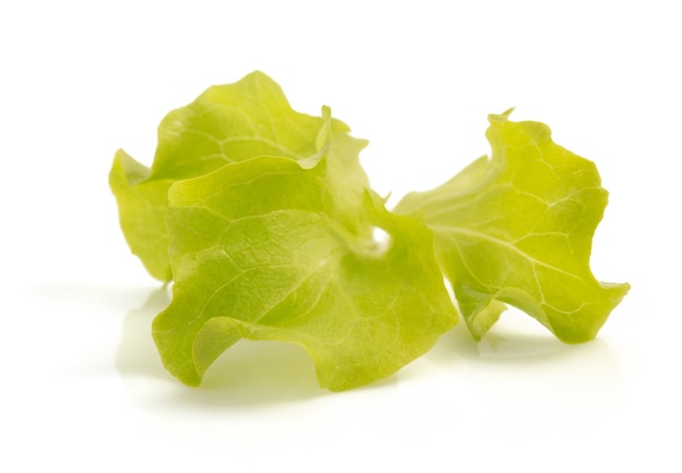 Salad leaf isolated on white background