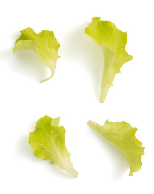 Photo salad leaf isolated on white background