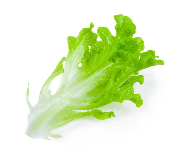 Salad leaf. Lettuce isolated on white background