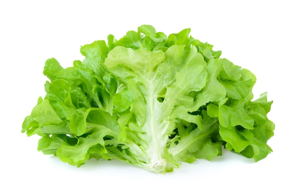 Salad leaf. Lettuce isolated on white background