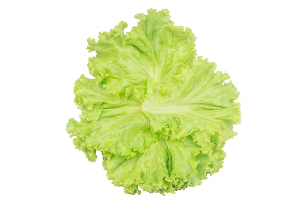 Salad leaf. Lettuce isolated on white with clipping path