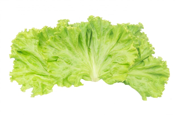 Salad leaf. Lettuce isolated on white