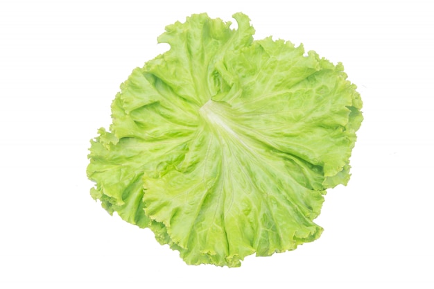 Salad leaf. Lettuce isolated on white