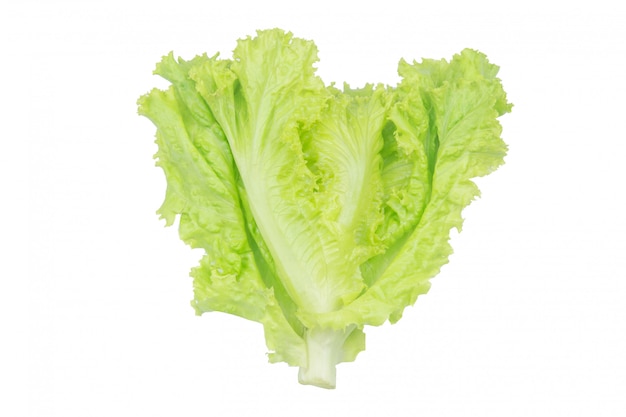 Salad leaf. Lettuce isolated on white