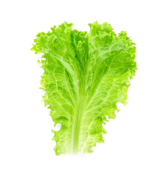 Salad leaf. Lettuce on white.