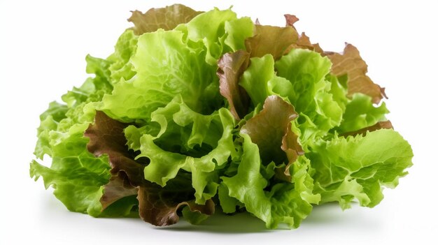 Photo salad lettuce leaf isolated