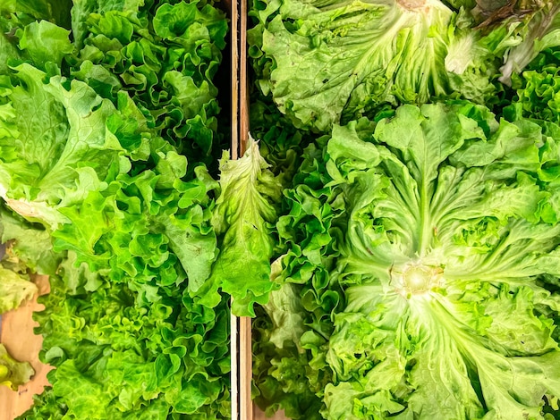 salad lettuce mix green petals leaves fruits on the counter of the market store healthy meal food