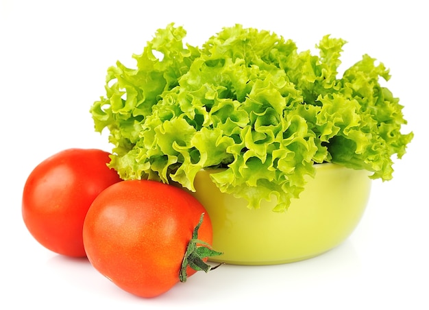 Salad lettuce and tomato on white