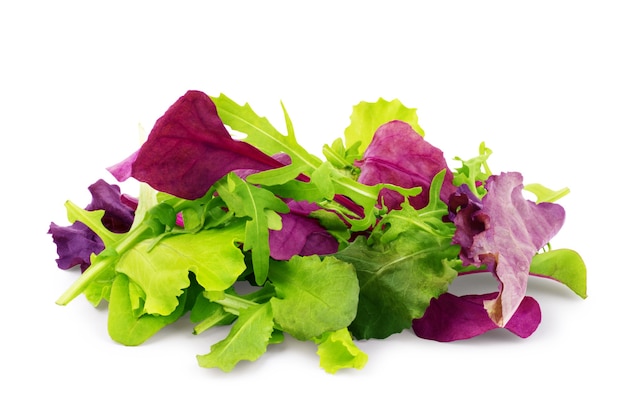 Salad mix arugula frisee radicchio and spinach on white background