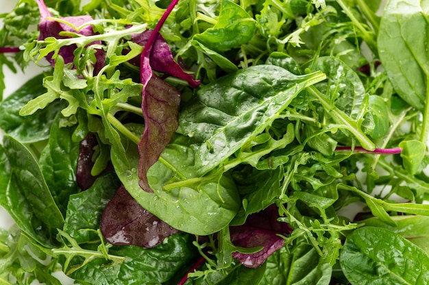 Salad mix of fresh herbs close up