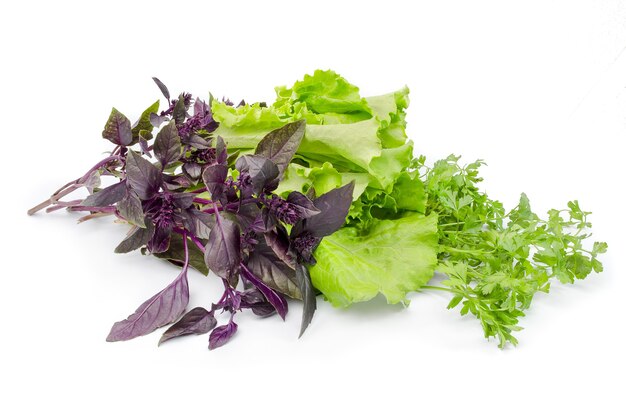 Salad mix isolated on a white cutout