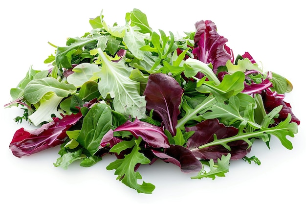 Salad mix with rucola frisee radicchio and lambs lettuce Isolated on white background