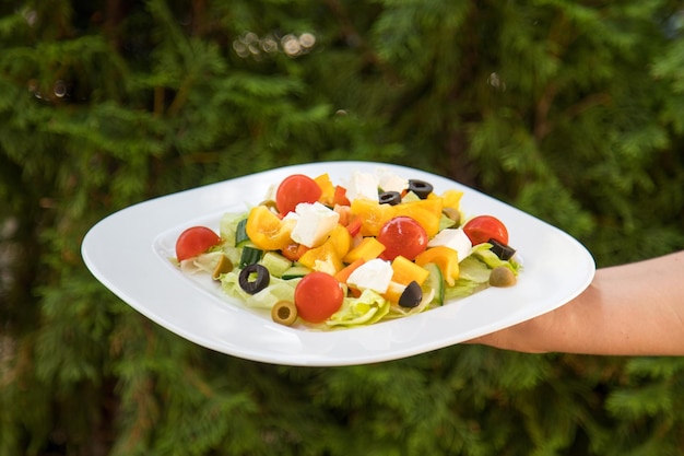 Salad and orange juice with Glasses of orange juice and fruits breakfast table outdoors