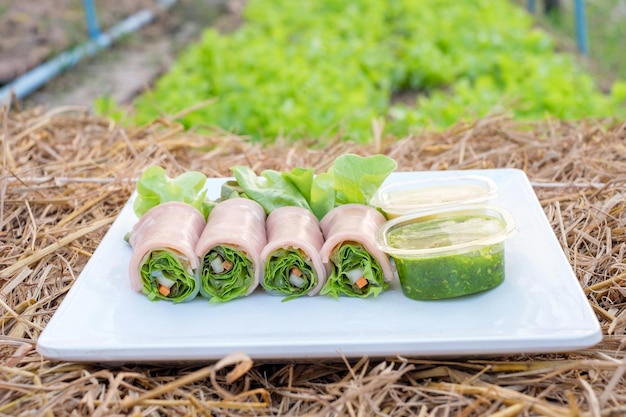 Salad roll green and red oak organic with filling ham pork and sauce