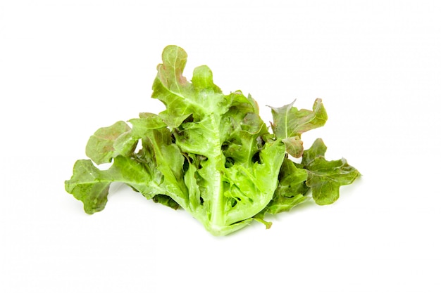 Salad vegetable on white isolated