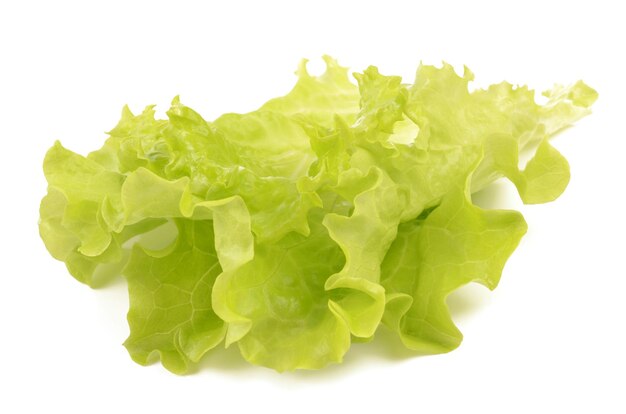 Salad on white background