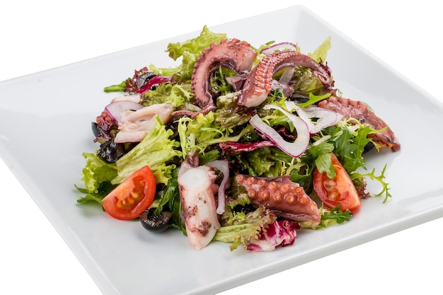 Salad with squid and octopus on a white background