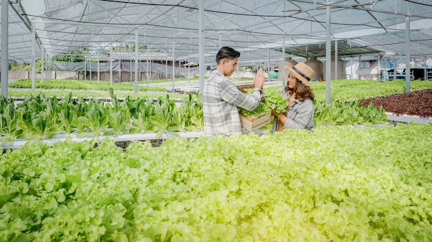 Salade, boer oogst sla van de hydrocultuurboerderij voor klanten en maakt hi-five.