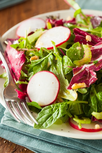 salade met radijs en komkommer