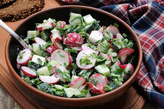 Salade met stukjes radijs en komkommerkruiden en groene uien geklede yoghurt Horizontaal schot