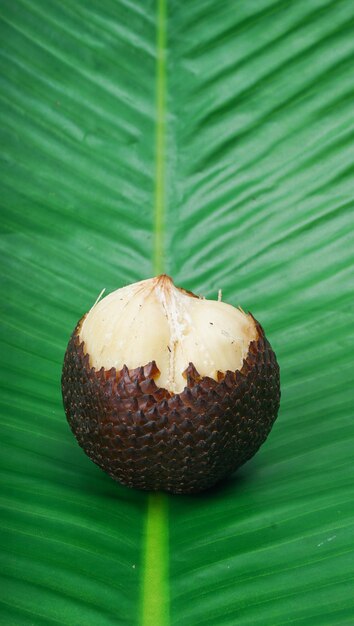 Салак фрукт на фоне банановых листьев Салак - фрукт родом из Индонезии