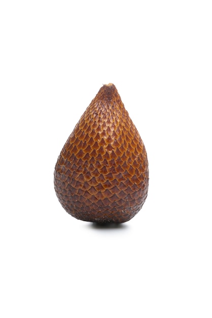 Salak Pondoh is one of the zalacca cultivars that is widely grown in the Sleman Regency, Yogyakarta Special Region