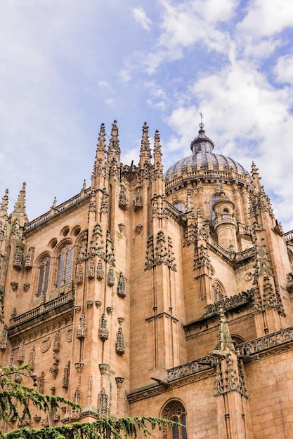 Salamanca cathedral architecture detail with no people castile and leon baroque and gothic facade