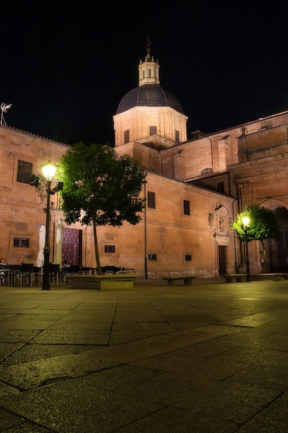 Salamanca city of spaain
