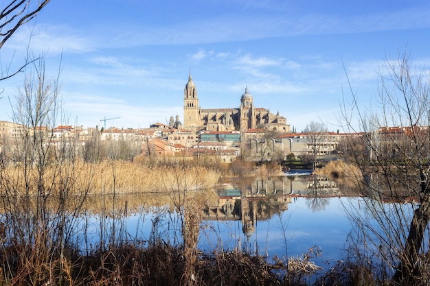 Salamanca Spanje Januari Prachtig uitzicht op de historische stad Salamanca met de nieuwe kathedraal weerspiegeld in de rivier de Tormes