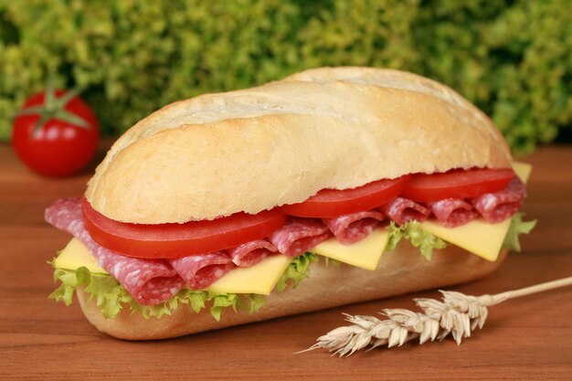 Foto panino al salame