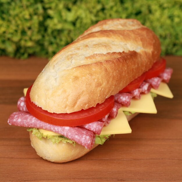 Foto panino al salame