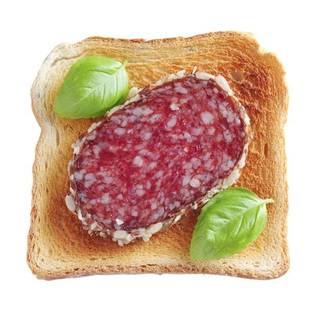 Salami sausage sandwich