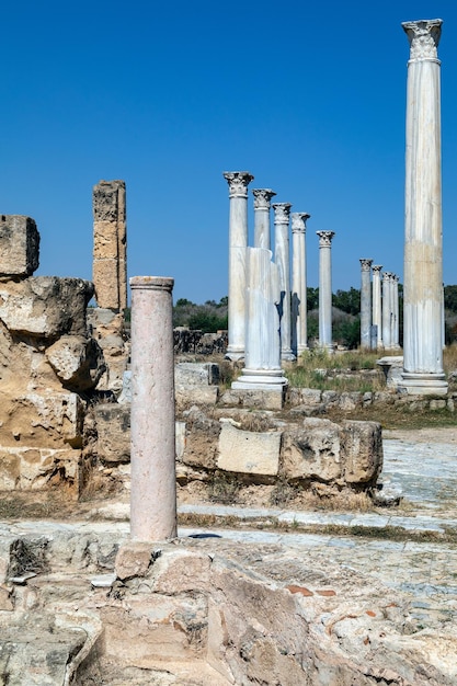 Salamis Roman Ruin Turkish Cyprus