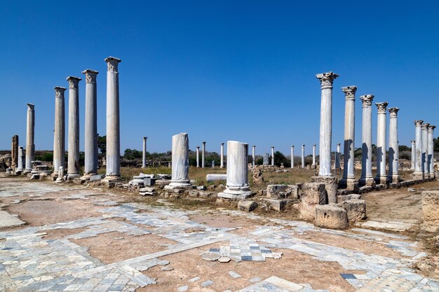 Salamis Roman Ruins Turkish Cyprus