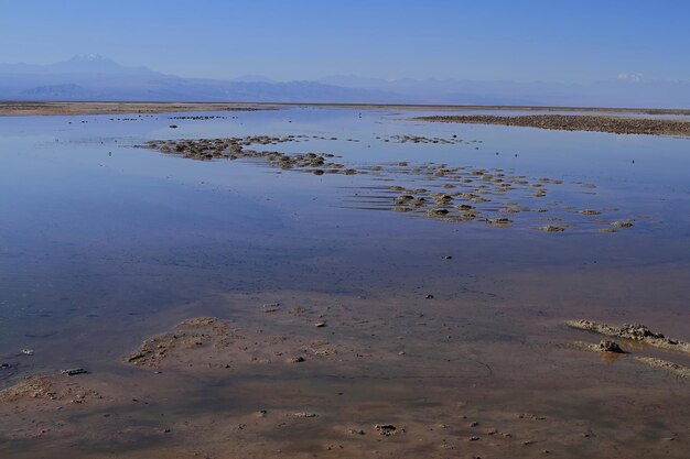 Salar de Atacma Chile