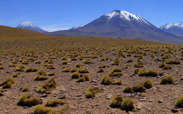 Photo salar de atacma chile