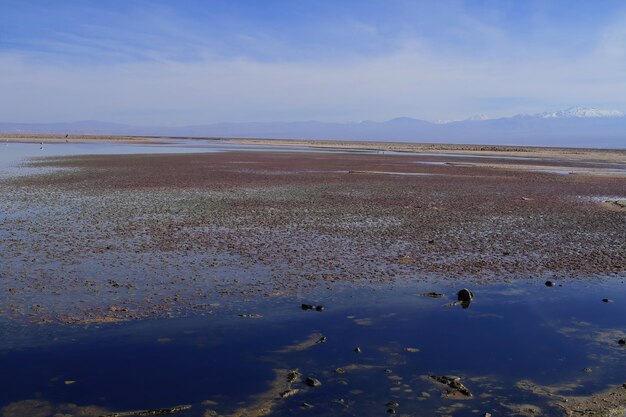 Salar de Atacma Chili