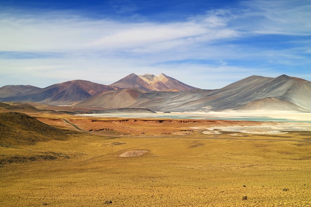 Salar de Talar, de zoutmeren van het hoogplateau in het nationale reservaat Los Flamencos, Chili