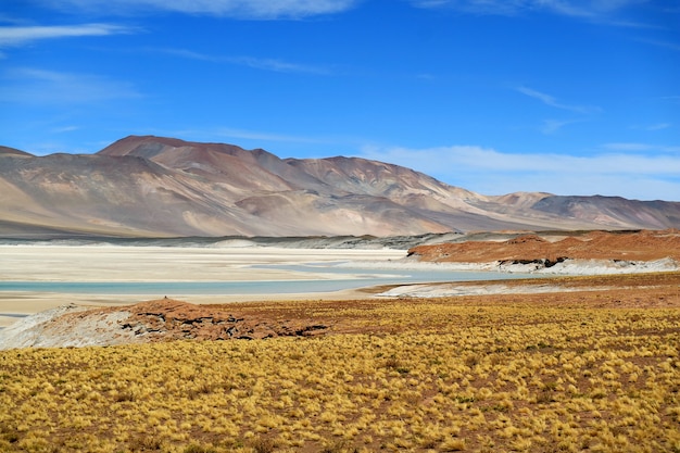 Salar de Talar, Part of High Plateau Salt Lakes