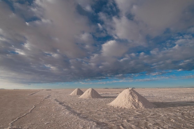 Salar de Uyuni Collecting salt at Colchan Potosi region Bolivia South America