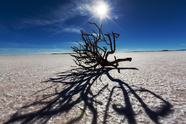 Salar de Uyuni