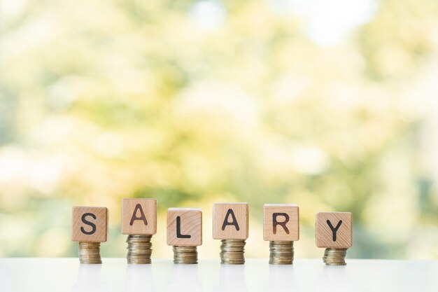 Salary word written on wood cubes stacks of coins nature green background