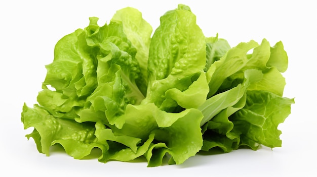 Salatbundel geïsoleerd op witte achtergrond