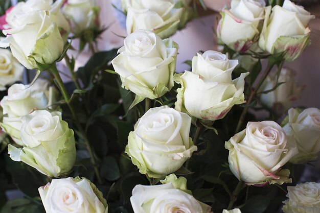 Sale of flowers. Big beautiful white roses in a flask