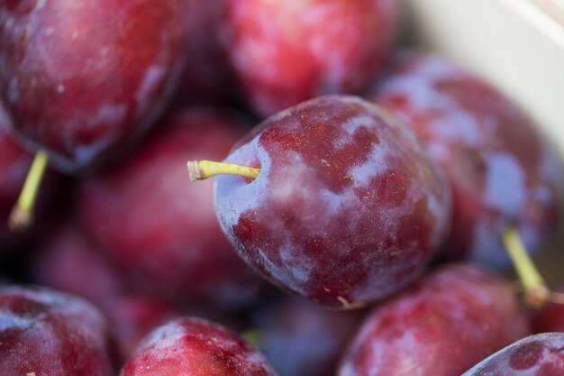 sale, harvest, food, fruits and agriculture concept - close up of satsuma plums in box at street market