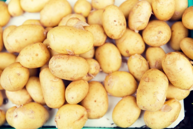 sale, harvest, food, vegetables and agriculture concept - close up of potato at street market